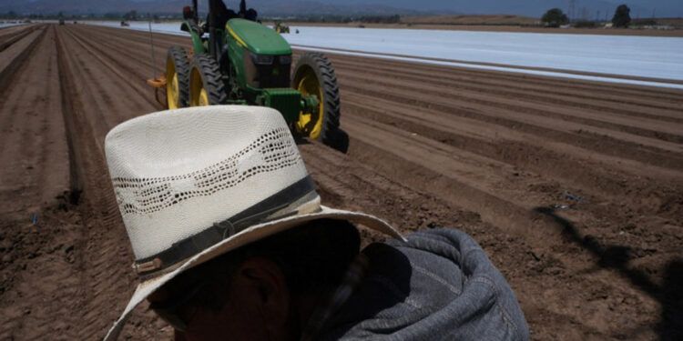 Redadas migratorias afectan a empresas y obreros en EE. UU.